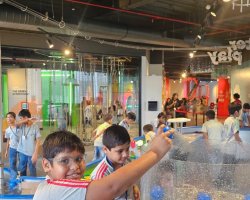 Std IV Field Trip to Museum of Solutions
